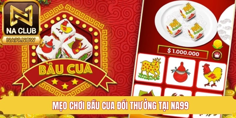 Mẹo chơi bầu cua đổi thưởng tại Na99