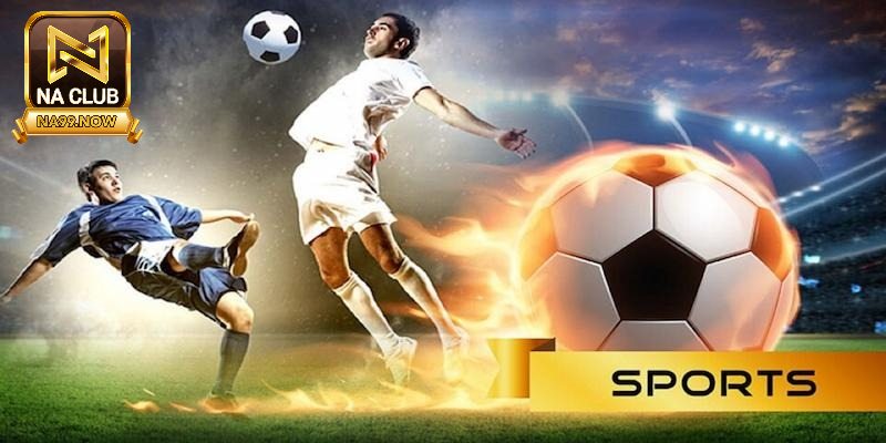 Đặt cược vào bóng đá với tỷ lệ hấp dẫn