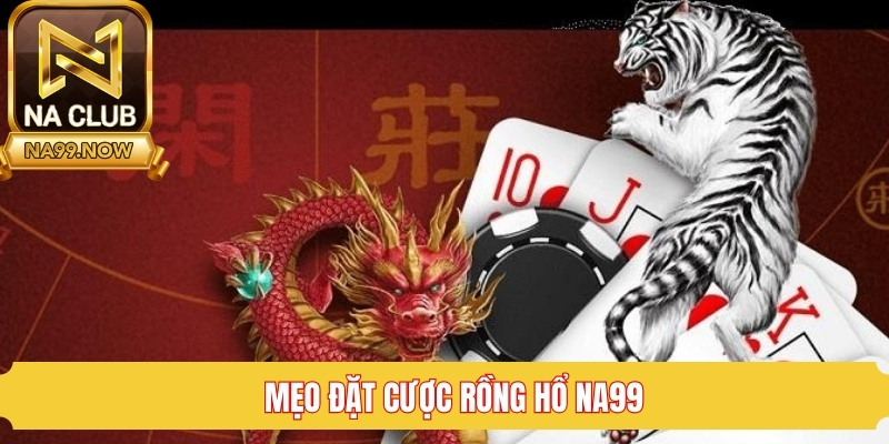 Học hỏi mẹo cá cược rồng hổ Na99