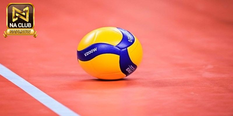 Trải nghiệm cá độ bóng chuyền tại Na99